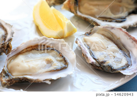 新鮮で美味しい生ガキ 54620943