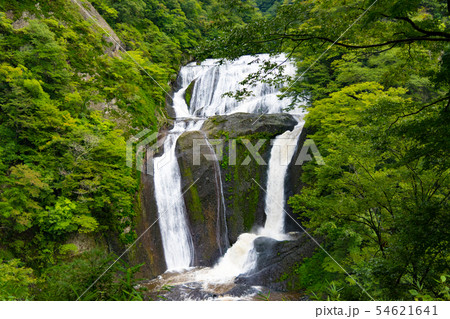袋田の滝 袋田の滝 54621641