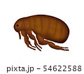 ノミ 54622588