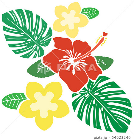 ハイビスカス プルメリア モンステラのイラスト素材