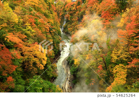 紅葉 秋田県 湯沢市 小安峡 温泉 紅葉 秋田県 湯沢市 小安峡 温泉 54625264