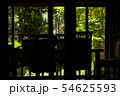 室内からの新緑の庭 54625593