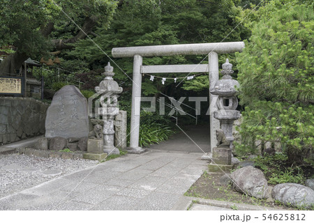 本牧神社の熊野速玉社（横浜市中区本牧和田） 54625812