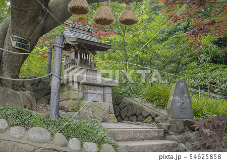 本牧神社の熊野速玉社(横浜市中区本牧和田) 本牧神社の熊野速玉社(横浜市中区本牧和田) 54625858