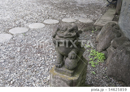 本牧神社の熊野速玉社(横浜市中区本牧和田) 本牧神社の熊野速玉社(横浜市中区本牧和田) 54625859