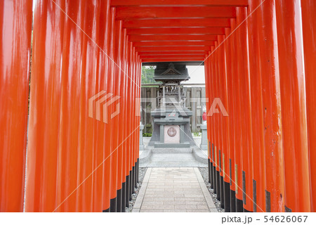 本牧神社の宇氣の稲荷社（横浜市中区本牧和田） 54626067
