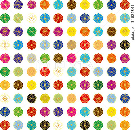 和風の菊 ベクター背景素材 のイラスト素材