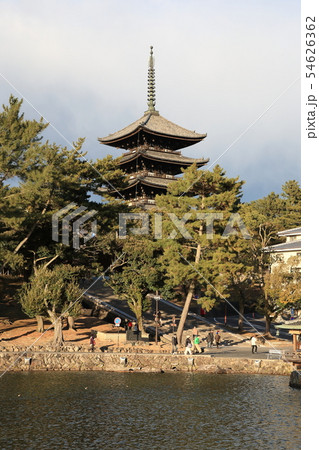 猿沢池・興福寺五重塔【奈良県奈良市】 猿沢池・興福寺五重塔【奈良県奈良市】 54626362