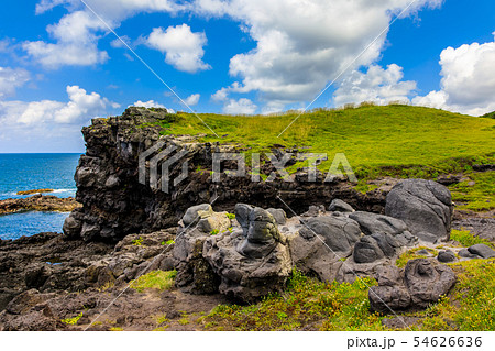 牧崎園地（カエル石）　【長崎県壱岐市】 54626636