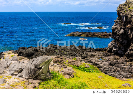 牧崎園地（カエル石）　【長崎県壱岐市】 54626639