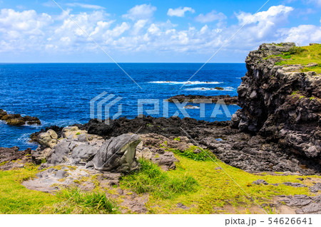 牧崎園地（カエル石）　【長崎県壱岐市】 54626641