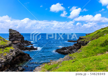 牧崎園地（微笑むゴリラ岩）　【長崎県壱岐市】 54626949