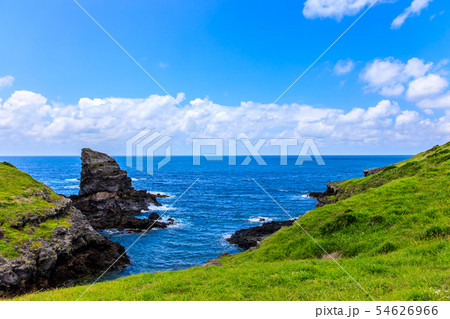 牧崎園地（微笑むゴリラ岩）　【長崎県壱岐市】 54626966