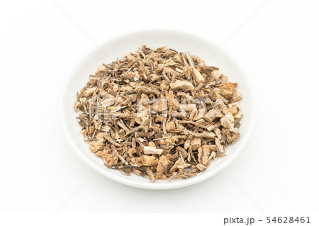 ブッチャーズブルームの根（ナギイカダの根）: Butcher's broom root 54628461