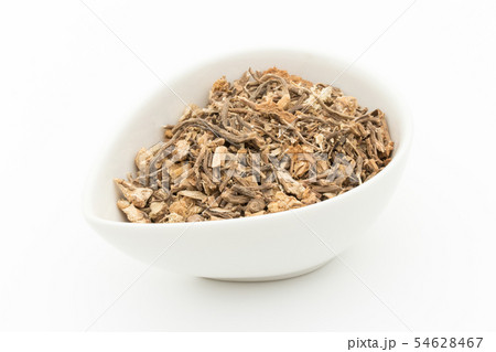 ブッチャーズブルームの根（ナギイカダの根）: Butcher's broom root 54628467