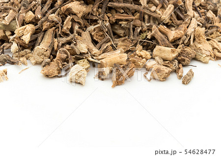 ブッチャーズブルームの根（ナギイカダの根）: Butcher's broom root 54628477