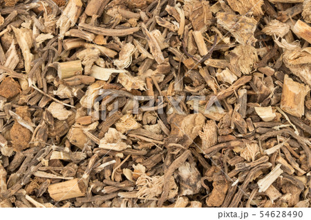 ブッチャーズブルームの根（ナギイカダの根）: Butcher's broom root 54628490