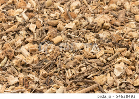 ブッチャーズブルームの根(ナギイカダの根): Butcher's broom root ブッチャーズブルームの根(ナギイカダの根): Butcher's broom root 54628493