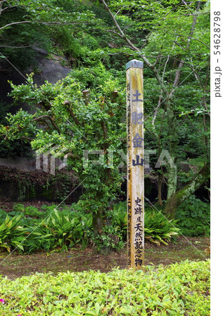 土肥金山 土肥金山 54628798