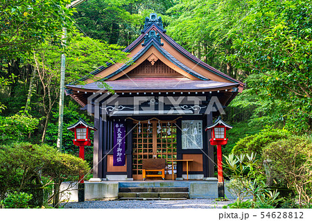 (神奈川県)箱根 駒形神社 本殿 (神奈川県)箱根 駒形神社 本殿 54628812