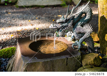 （神奈川県）箱根　駒形神社　手水舎 54628878