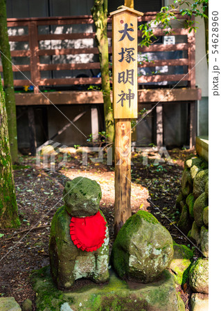 （神奈川県）箱根　駒形神社　犬塚明神 54628960