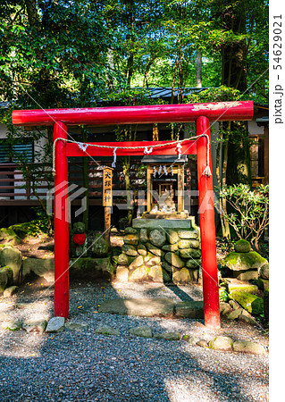 （神奈川県）箱根　駒形神社　犬塚明神 54629021
