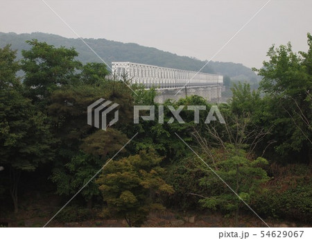 自由の橋 自由の橋 54629067