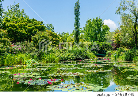 モネの庭 高知 モネの庭 高知 54629749