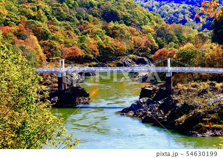 神居大橋 54630199