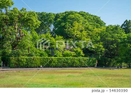 京都　嵯峨野　落柿舎　新緑　　 54630390