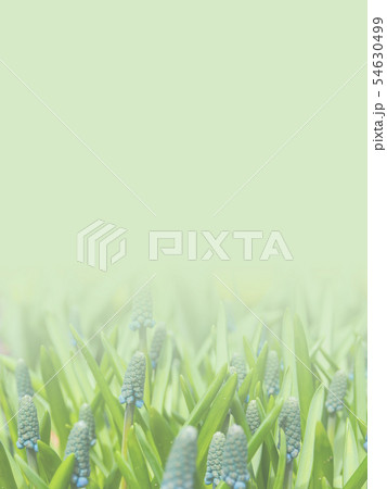 abstract flower background illustration 54630499