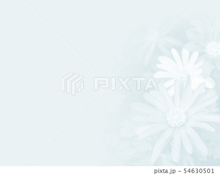 abstract flower background abstract flower background 54630501