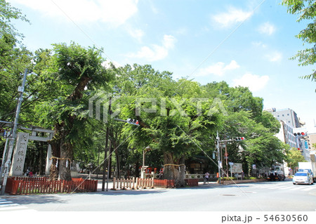 大國魂神社前交差点 府中市 大國魂神社前交差点 府中市 54630560