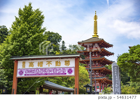 【五重塔　高幡不動】 54631477