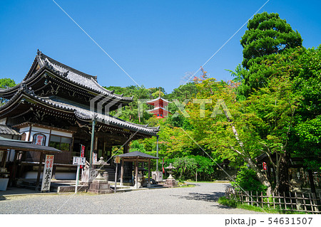 京都　今熊野観音寺（いまくまのかんのんじ）の本堂と多宝塔　新緑　 54631507