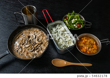 ロシア料理ストロガノフ Russian style stew (stroganoff) ロシア料理ストロガノフ Russian style stew (stroganoff) 54632178