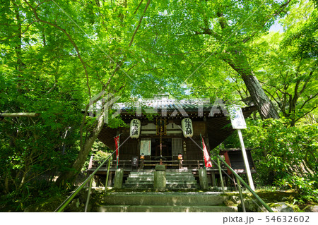 京都　今熊野観音寺（いまくまのかんのんじ）の大師堂　新緑　 54632602