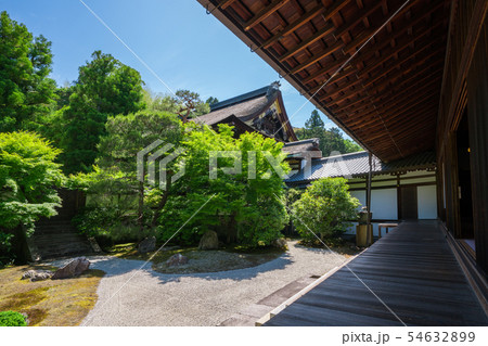 京都 泉涌寺の御座所庭園 新緑 京都 泉涌寺の御座所庭園 新緑 54632899