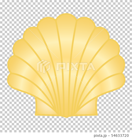 Scallop scall 54633720