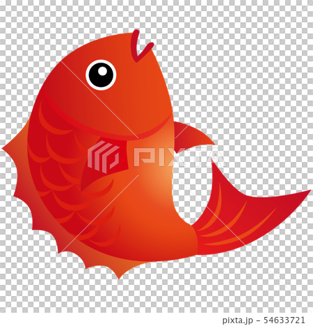 鯛魚領帶 鯛魚領帶 54633721