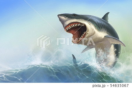 3,831 Great White Shark Drawing Images, Stock Photos & Vectors |  Shutterstock