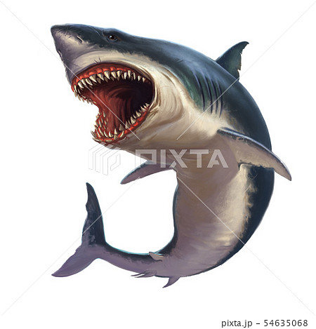 Great White Shark Body realistic isolated. 54635068