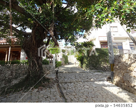 首里金城町石畳道（沖縄県那覇市） 54635852