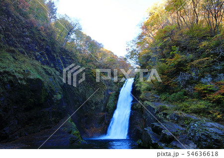 紅葉 宮城県 仙台市 秋保大滝 紅葉 宮城県 仙台市 秋保大滝 54636618