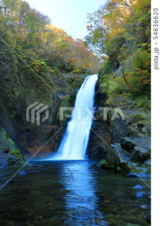 紅葉 宮城県 仙台市 秋保大滝の写真素材