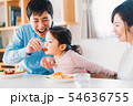ファミリー　若い家族 54636755