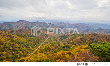 周王山 紅葉 秋 54636896