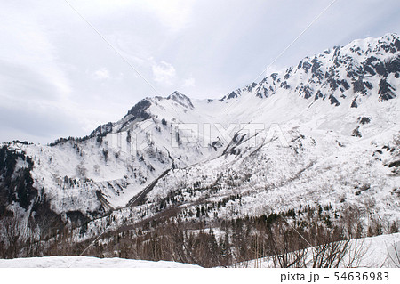 黒部平の残雪 黒部平の残雪 54636983