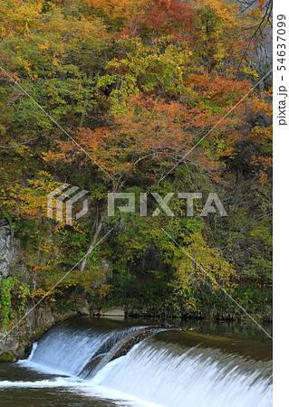 紅葉 岩手県 一関市 猊鼻渓 紅葉 岩手県 一関市 猊鼻渓 54637099